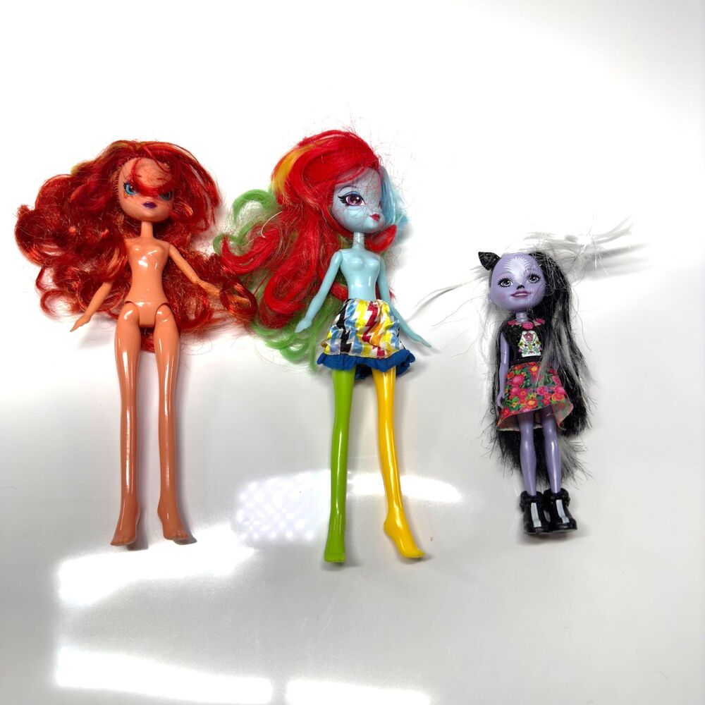 My Little Pony Equestria Girls Sunset Shimmer Rainbow Dash Enchantimals Sage